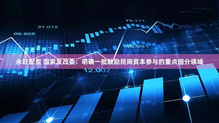 永旺配资 国家发改委：明确一批鼓励民间资本参与的重点细分领域