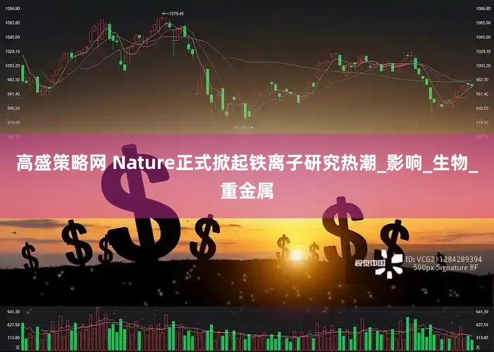 高盛策略网 Nature正式掀起铁离子研究热潮_影响_生物_重金属