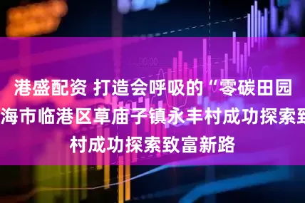 港盛配资 打造会呼吸的“零碳田园” ——威海市临港区草庙子镇永丰村成功探索致富新路